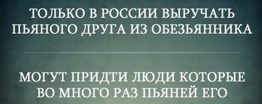 Подборка интересных и веселых картинок