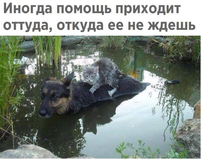 Нестандартный юмор