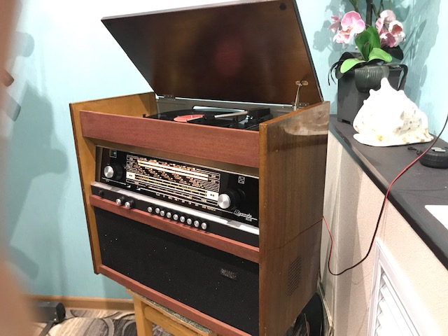 Ригонда 102