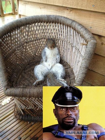 Совсем страх потеряли......