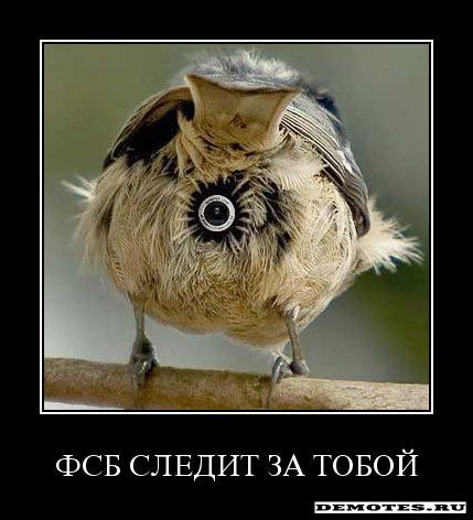 Демки и ностальджи