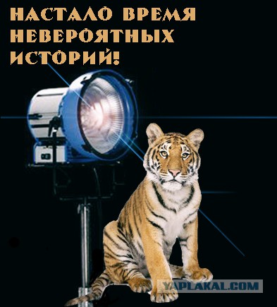 Месть бывает сладкой. Очень сладкой!