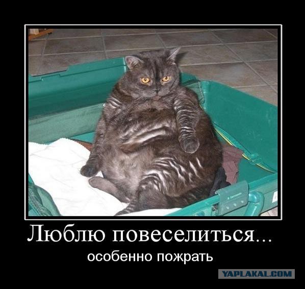 Клуб весёлых и неадекватных