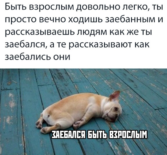Немного картинок на вечер 21.07.2019