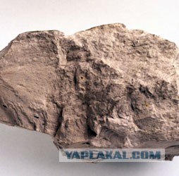 9 экологически чистых вещей