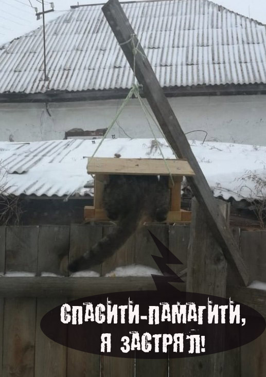 Смастерили с сыном кормушку для голодающих птичек