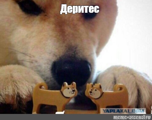 Почему в России никогда не будет революции?