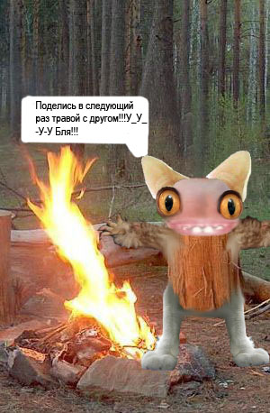 Фотожаба: Жопоколобок