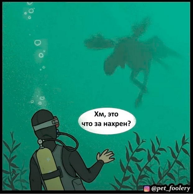 14 фактов, которые кажутся полным бредом, но на самом деле являются правдой