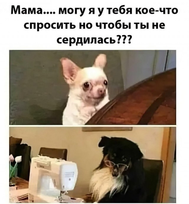 Старые картинки, продолжение