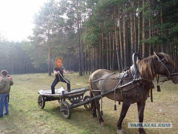 Фотожаба: если б я имел коня...