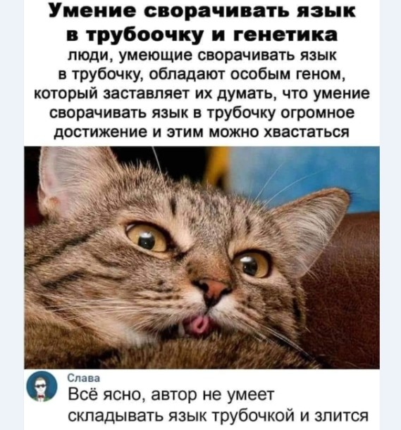 Ночной дозор