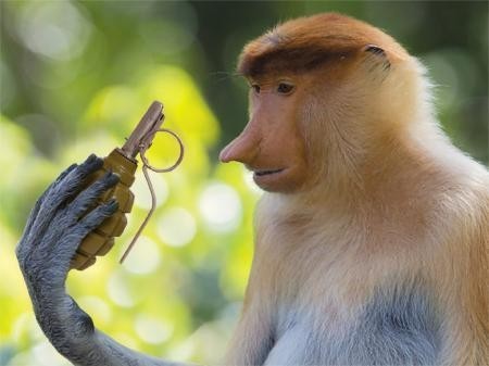 Компания Neuralink Маска показал обезьяну, играющую в видеоигры силой мысли