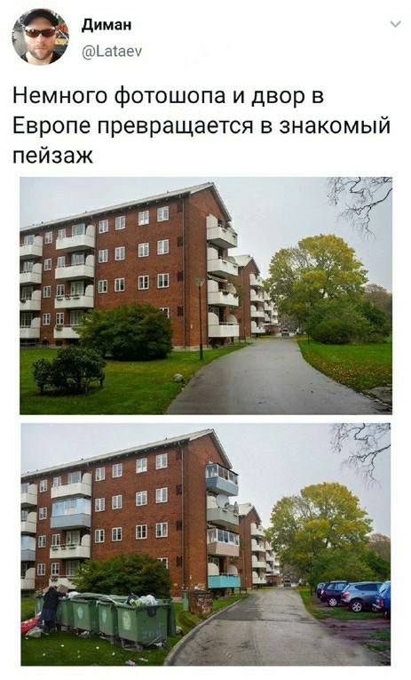 Шелушение коры