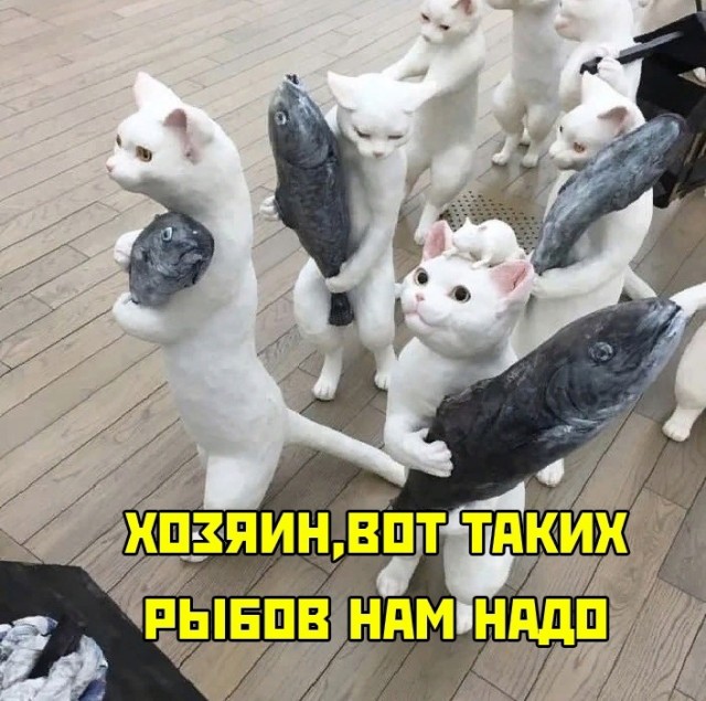 Картинки и мемы для настроения 24.08.2021