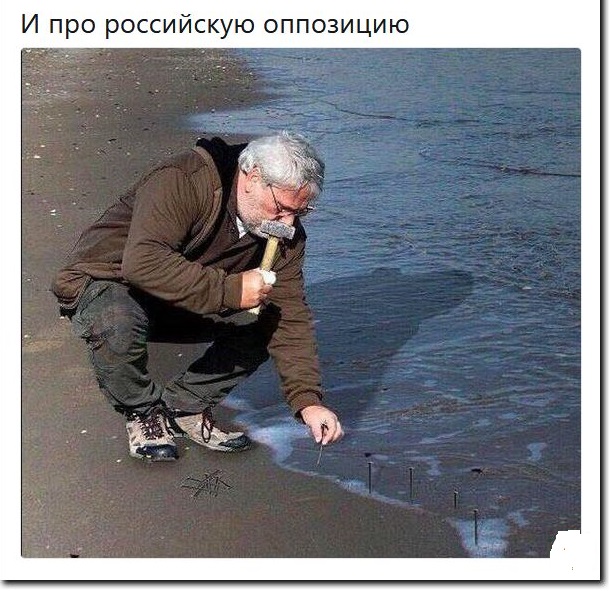 Оппозиция сломалась, несите новую оппозицию
