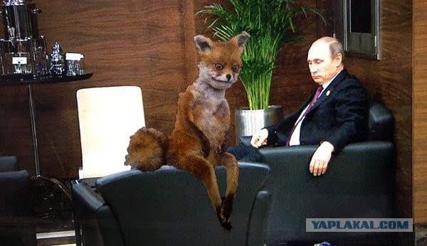 Кто обзывается, тот сам так называется