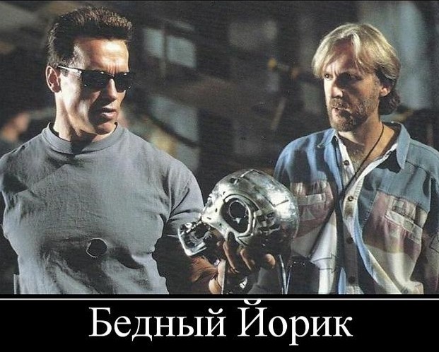 Так выглядят резцы бобра