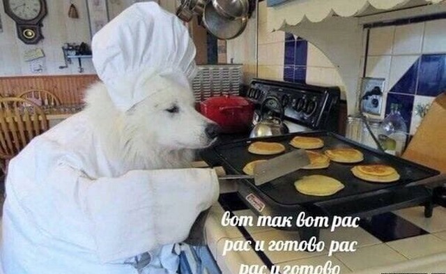 Картинки и мемы для настроения 13.12.2021
