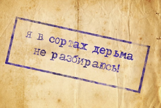 Александр Шпак нокаутировал Никиту Джигурду на турнире промоушена «Наше Дело»