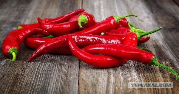 Украинское оружие против Кадыровцев