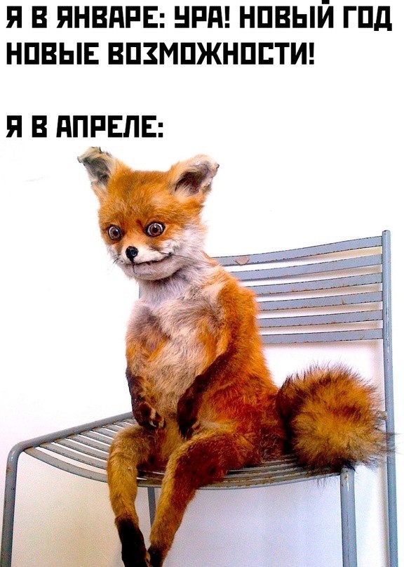 Воскресные картинки