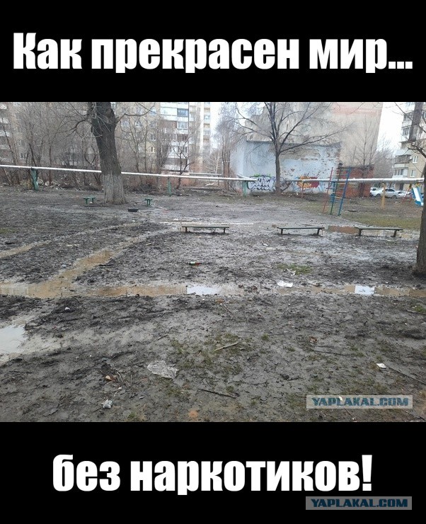 Саратов. Чистота и комфорт!