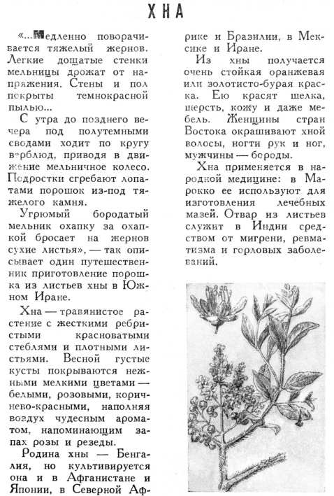 Редкие кадры и архивные снимки