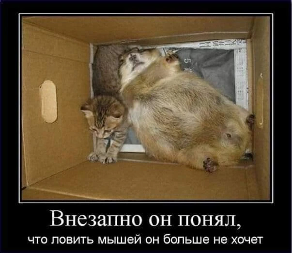 Немного картинок и прочей хреноты Vol. 12
