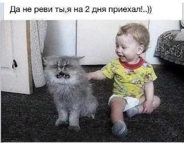 Так себе картинки 30.07.22