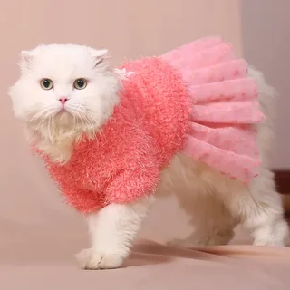 Кот Джеймса Бонда