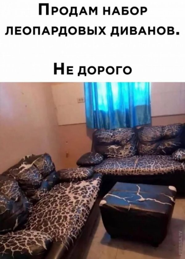 Не бейте баяниста - играет, как может