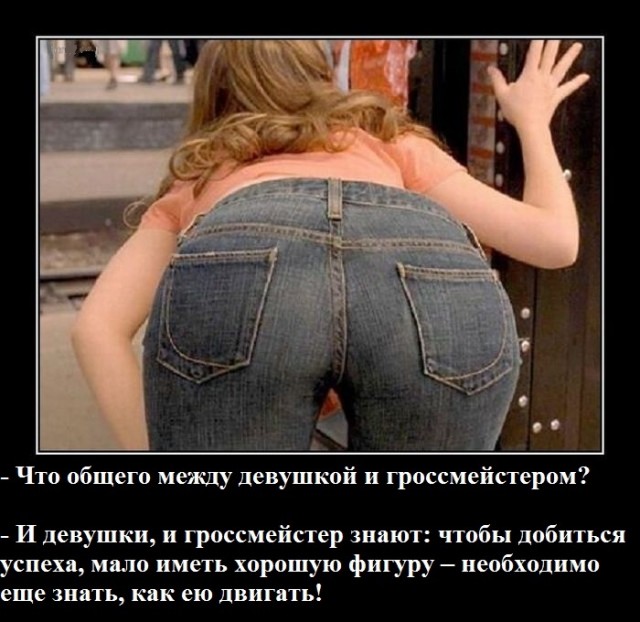Весёлый полтишок 11.01.23