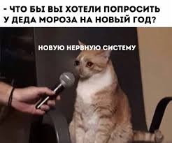 Местный суетолог