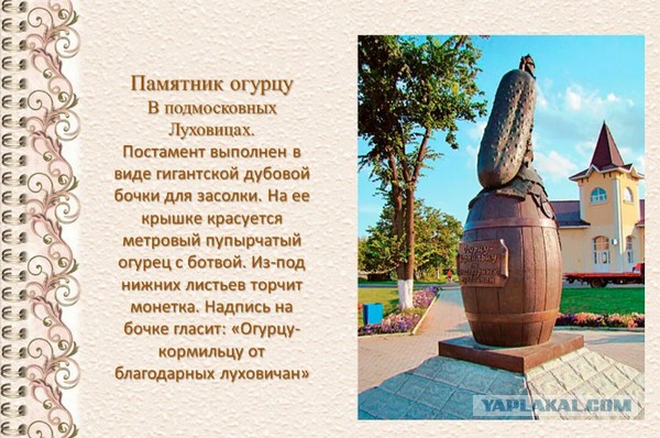 На Украине новый уровень идиотизма и деградации сознания. Предложили поставить памятник акуле под названием "Борец с русскими"