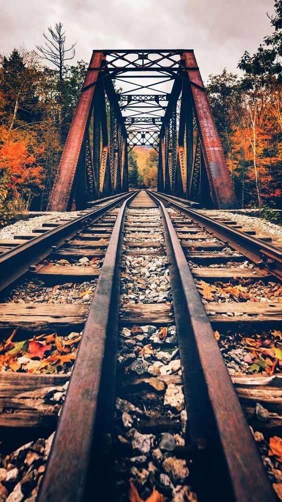 Прикольные и просто красивые картинки 19.09.2023