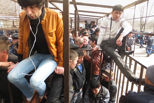 Угадайте, что происходит на видео
