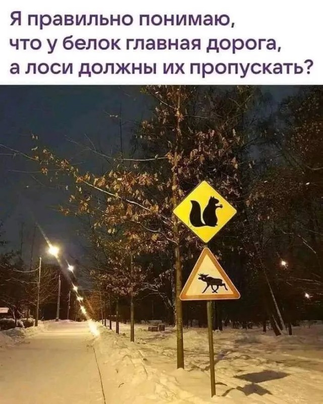 Никакие картинки