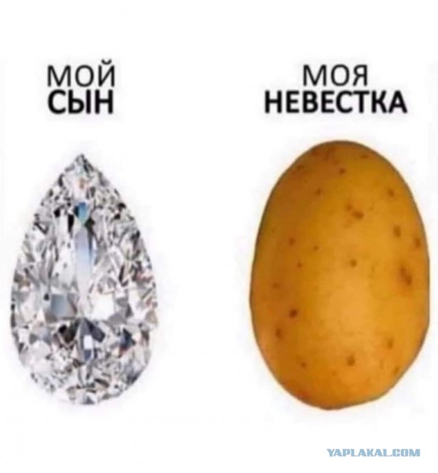 Так себе картинки 17.09.24