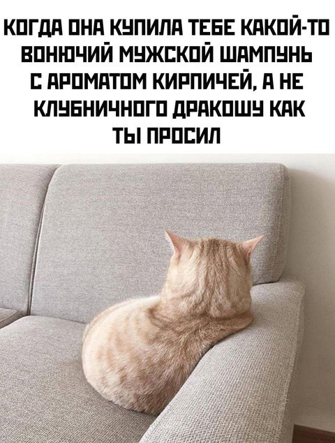 Всего понемногу. От 27.09.24