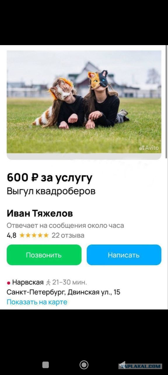 Депутаты готовят проект поправок в Административный кодекс. За выгул детей на четвереньках штраф составит от 1000 до 5000 рублей