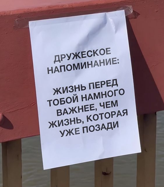 Прикольные и просто красивые картинки 08.11.2024