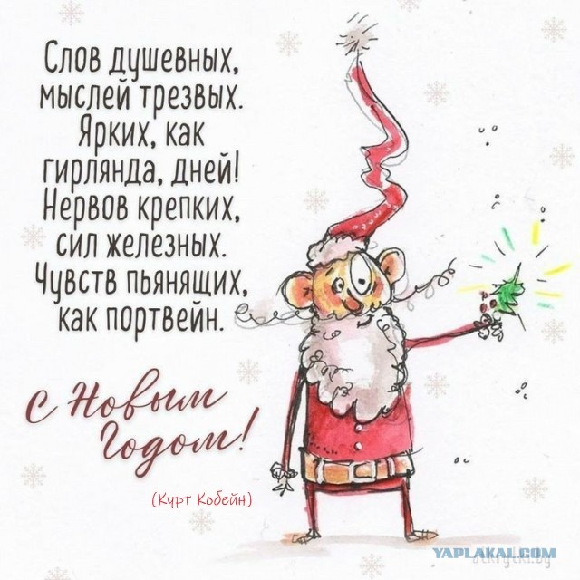 Прикольные и просто красивые картинки 07.01.2025