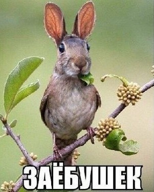 Давайте определимся раз и навсегда…