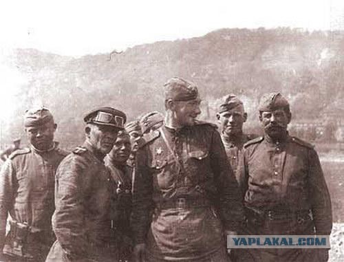 «Надо, Федя, надо!»