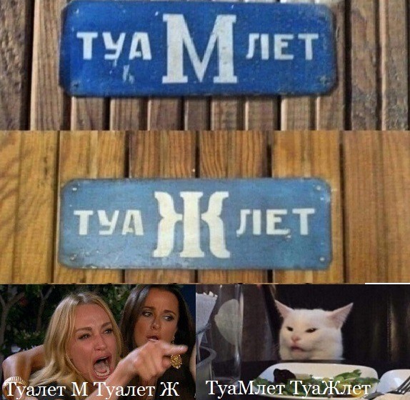 Знаменитый кот