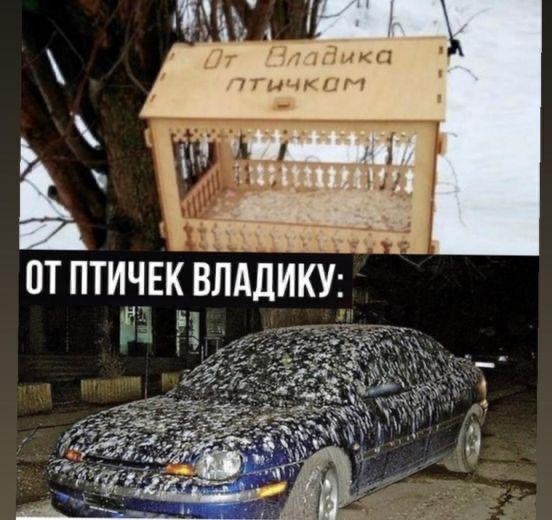 Веселый полтишок (09.07.2025)