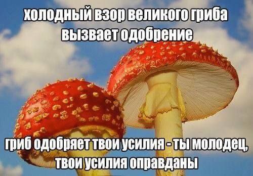 Картинки для деградации 140 (разной степени свежести)