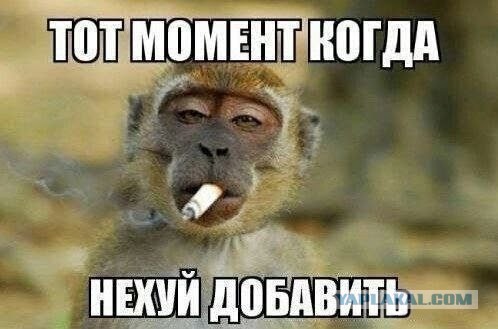 Совет от профессионалки