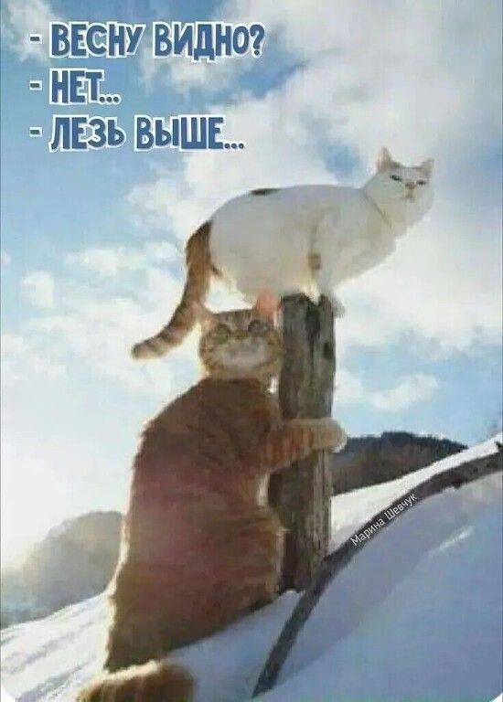 Прикольные и просто красивые картинки 13.03.2026